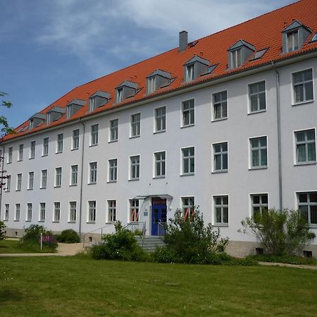 Hanse Haus Pension Greifswald Zewnętrze zdjęcie